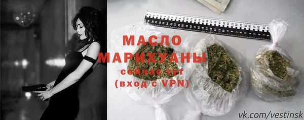 spice Богородицк