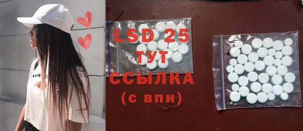 spice Богородицк