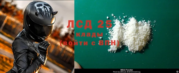 spice Богородицк