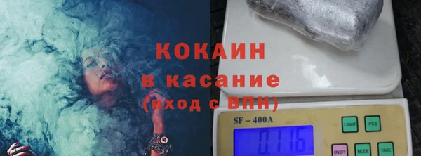 spice Богородицк
