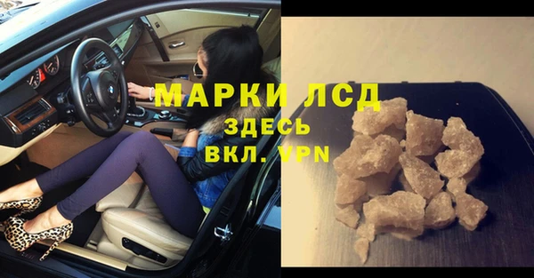 прущие грибы Богородск