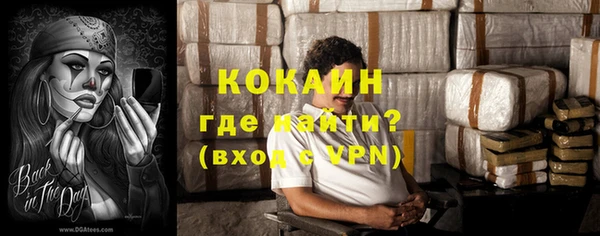 прущие грибы Богородск
