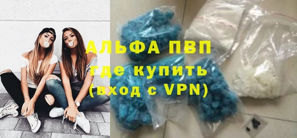 прущие грибы Богородск